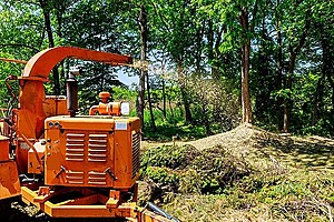 Why hire a professional wood chipping services