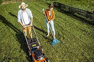 10 states in America with the best lawn care businesses