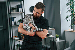 Exploring mobile cat grooming services near me with Tealpot