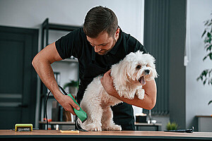 Finding the mobile dog groomer near me on Tealpot