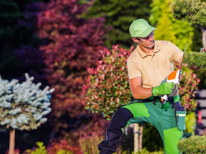 Landscaping Services in Arlington